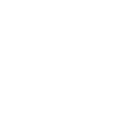 icon-custom